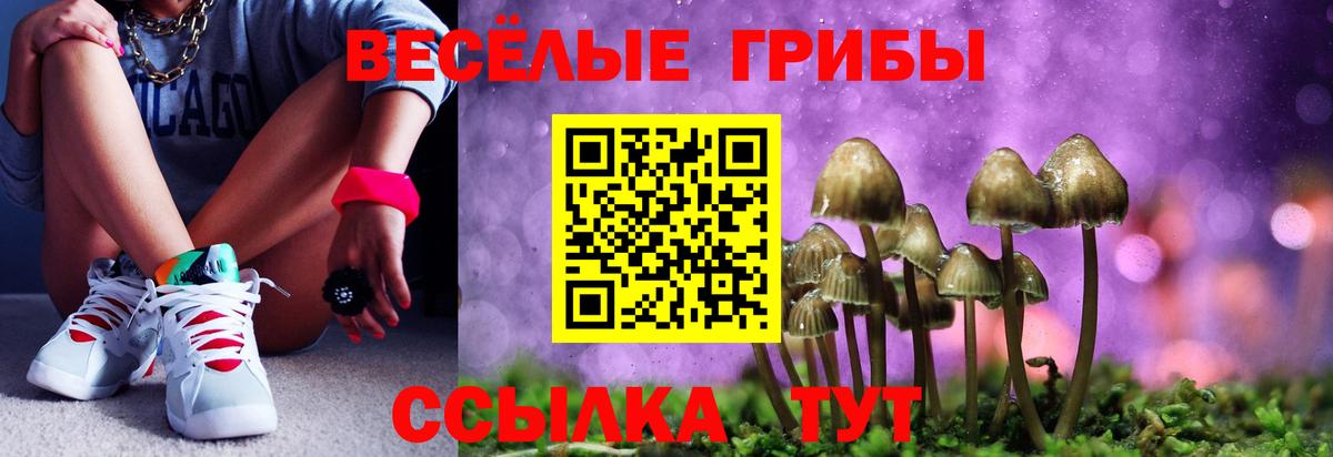 Псилоцибиновые грибы ЛСД Нижнекамск