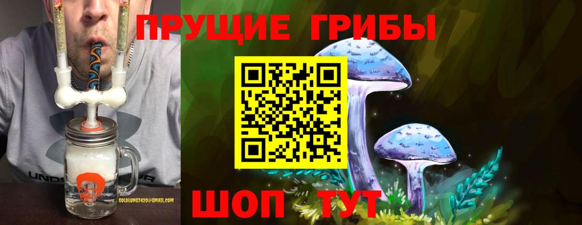 где купить наркотик  Вход с VPN  Галлюциногенные грибы MAGIC MUSHROOMS  Нижнекамск  Псилоцибиновые грибы GOLDEN TEACHER 